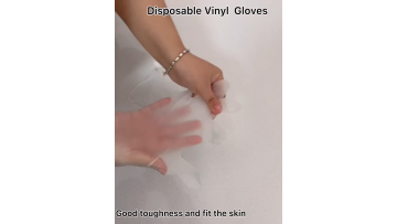Vinyl Gloves Factory Wholesale Pvc Gloves Food Clear Transparent Household Cleaning Vinyl Gloves Powder Free1