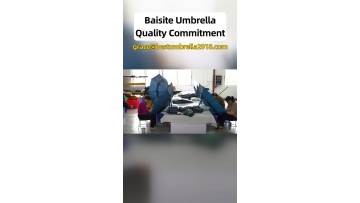 BaiSiTe Manufacture Video 2