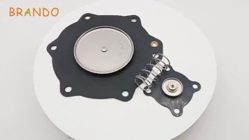 C113685 diaphragm membrane