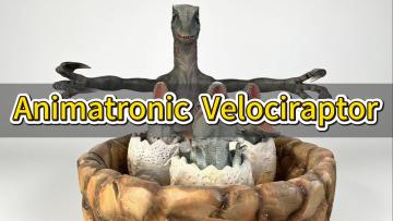 Animatronic velociraptor play ball game