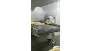 shrimp blanchine processing
