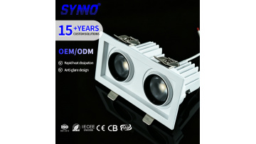 Double Heads Square Ceiling Recessed LED Downlight Model SL-CL21A-S from Synno Lighting