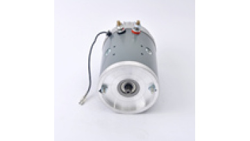12volt 1600W factory  high torque dc power motor O.D.114mm ZD1031