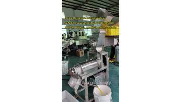 Fruit and vegetable juicing machine