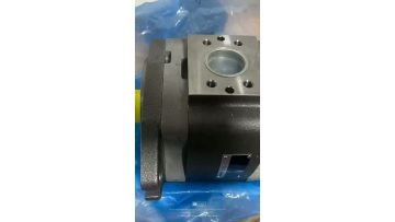 VOITH IPV 6-100 101 GEAR PUMP