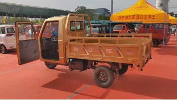 Efficient Half-shed Three-wheeled Motorcycle for Short Trips