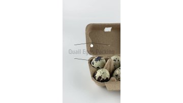 Quail egg cartons cardboard packaging boxes pulp 6ct1