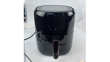 AIR FRYER4