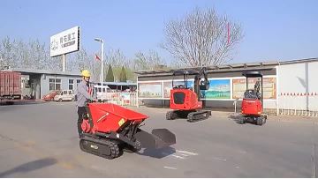 XN800 mini dumper Irene