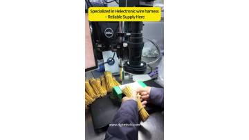 13_hercules electronics