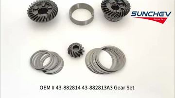 43-882814 43-882813A3 Gear Set 