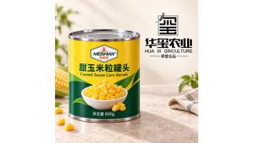 Canned Sweet Corn Kernels 800g