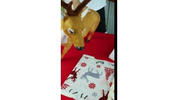 OEM Custom Christmas Design Digital Printing 96% Polyester 4% Spandex Knit Bullet Fabric For Bows1