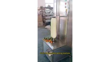 Fruit and vegetable peeling machine