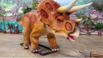 5.15Triceratops Video