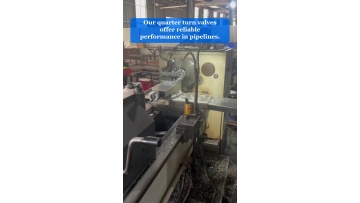 Video 15