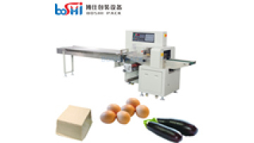 Automatic Horizontal Packing Machine for Sushi Dumplings Fruit Vegetable Meat Wrapping Machine1