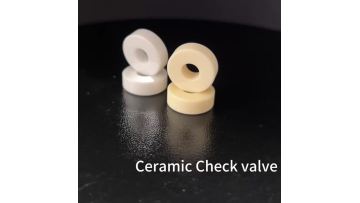 Ceramic Check valve