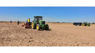 African customers grow cotton