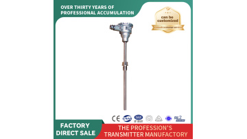 Explosion Proof Thermocouple Thread Installation(SBWZR-20)