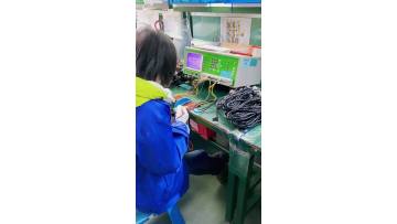 100% Quality Testing