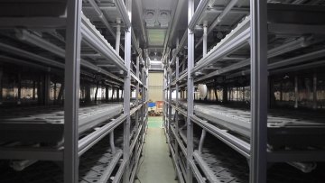 Smart Farm Shipping Mushroom Grow Room Vertical Farming Container Farm Greenhouse with blackout system1