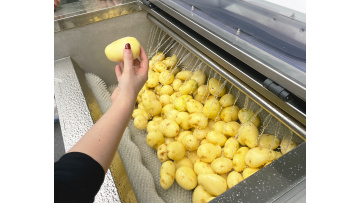 ST-QP800 potato washing peeling machine 