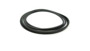 Rectangular ring oil seal 175*4.2*3.2 for 813/500261
