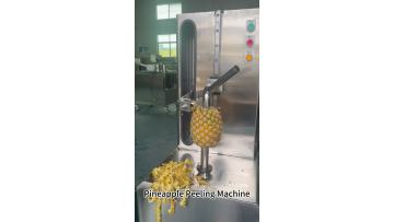 Pineapple Peeling Machine Fruit and vegetable peeling machine 