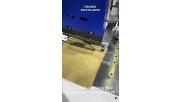 Automatic Laser Pocket Welting Machine FX2210-ALPW