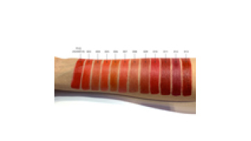 Cosmetics Make Your Own lip makeup Cheap matte Moisturizing Lip 12 Color private label Lipstick1