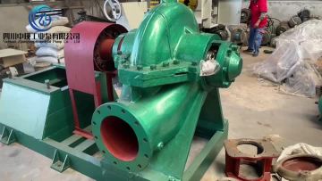 Double suction pump