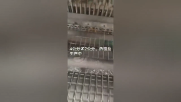 1/2 Inch Galvanized Steel Iron Welded Wire Mesh After Welding For Bird Cage1