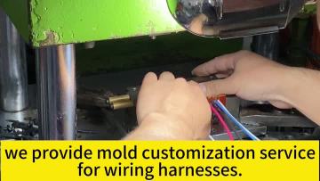 Molding Injection