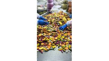VF vegetable chips