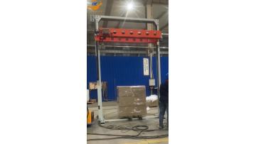 Pallet wrapping machine with top sheet