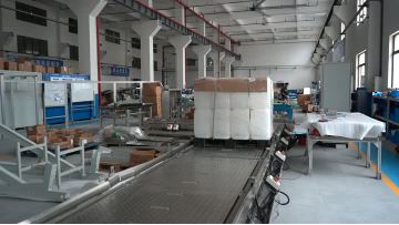 Case Packing and Sealing Line​