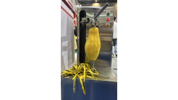 ST-QP3 Pumpkin Peeling Machine