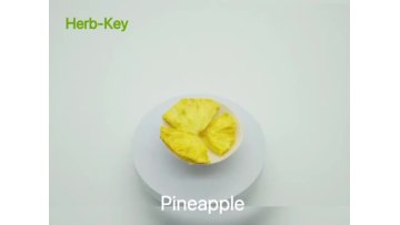 Pineapple2