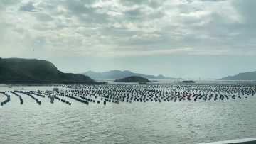 Shengsi Xiangyuan Aquatic Products Co.,Ltd.,