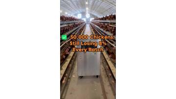 50,000 Chickens, Still Losing 8%? Try Our Ozone Generator.