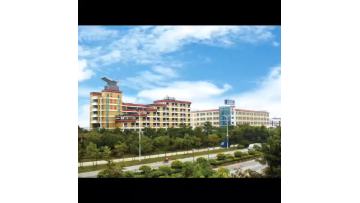 Professional manufacture of Décor lighting product