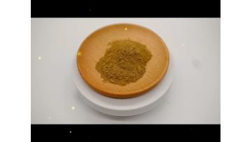 Semen Cuscutae Extract