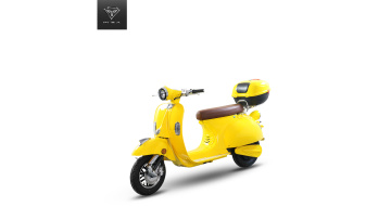 Electric Motorcycle Mobility Moped Scooter 