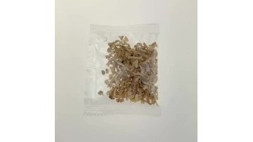 GingerGranules(SmallPackage)