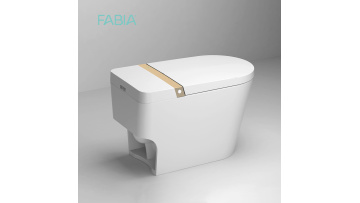 FA-937 one piece intelligent toilet