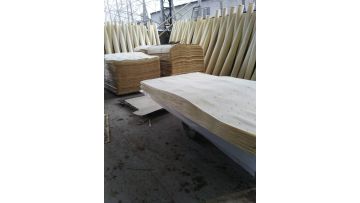 poplar and eucalyptus veneer plywood for drying
