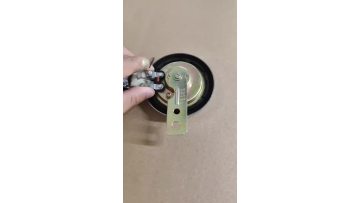 Iron horn test