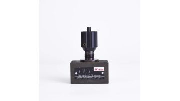 DV10 Throttle valve