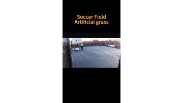 Artificial Grass (1)